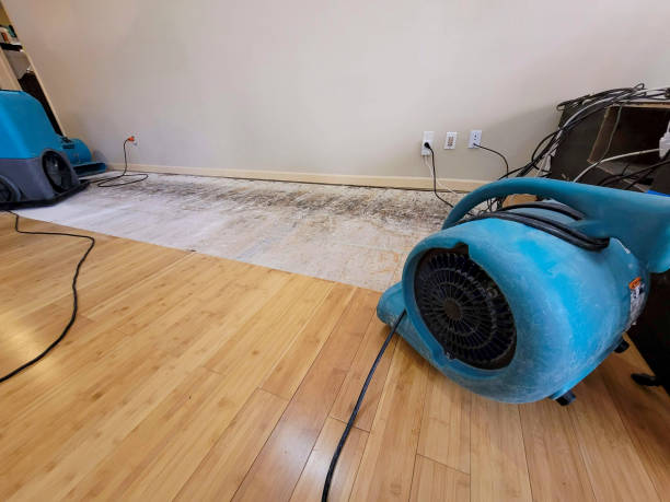 Professional Structural Drying technician working in Corcoran, MN